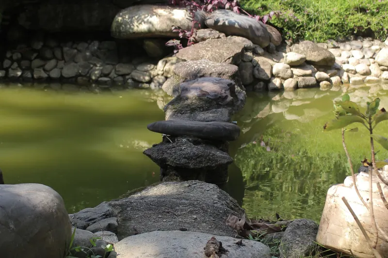 Gartenteich mit Uferbepflanzung